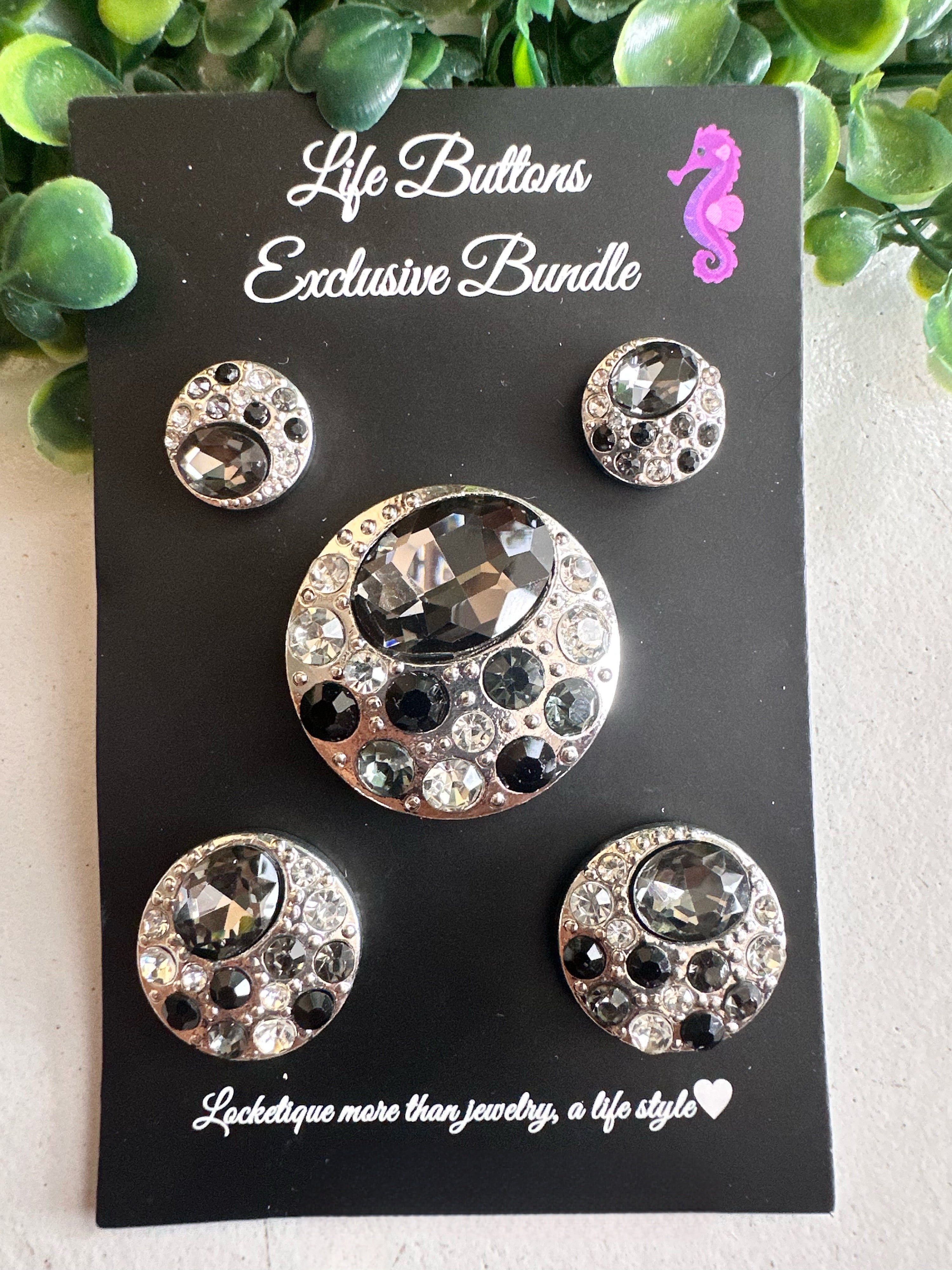 Palette Black Silver Bundle
