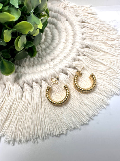 Elegant Hoops Earrings