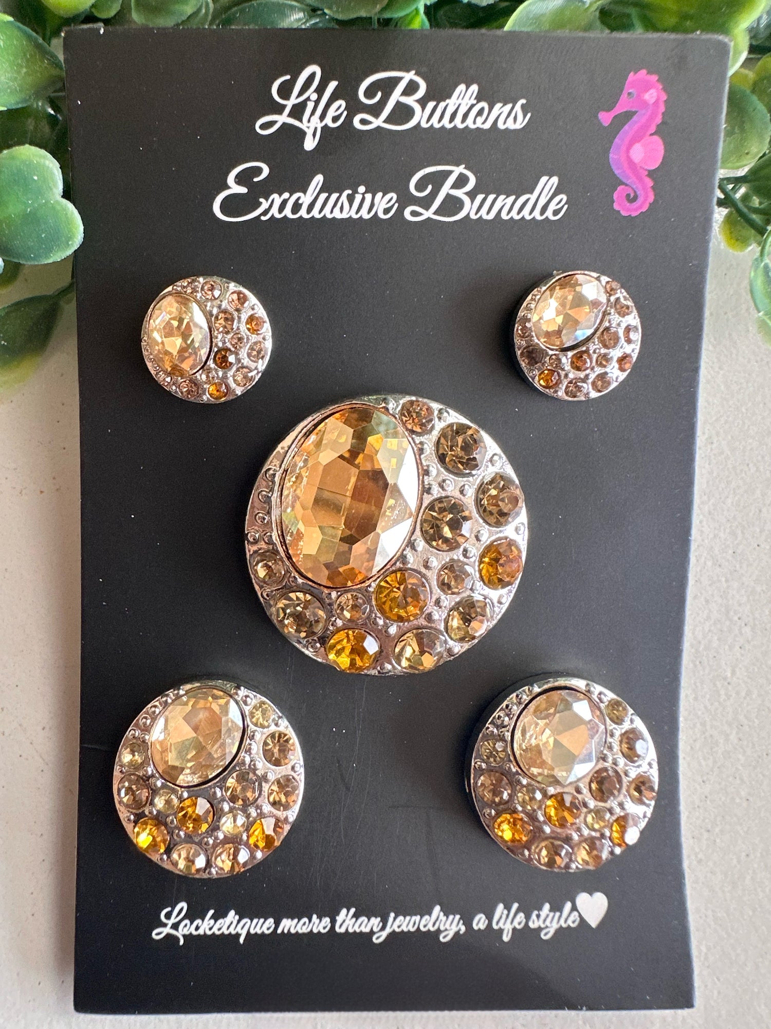 Amber Bundle